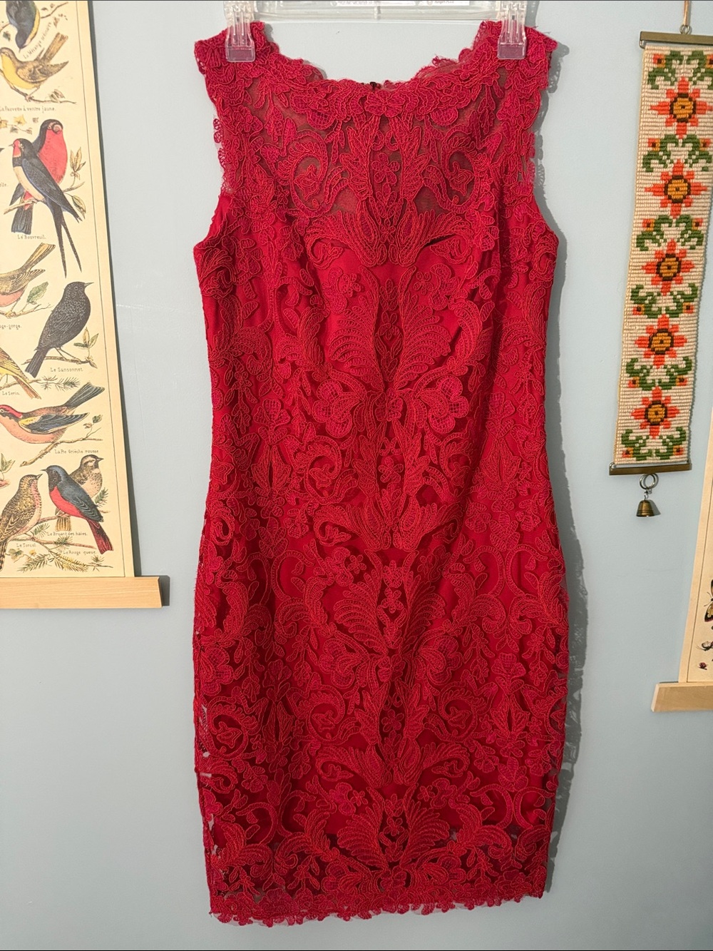 Tadashi Shoji Mendy Corded Embroidered Lace Tulle Dress size 8
